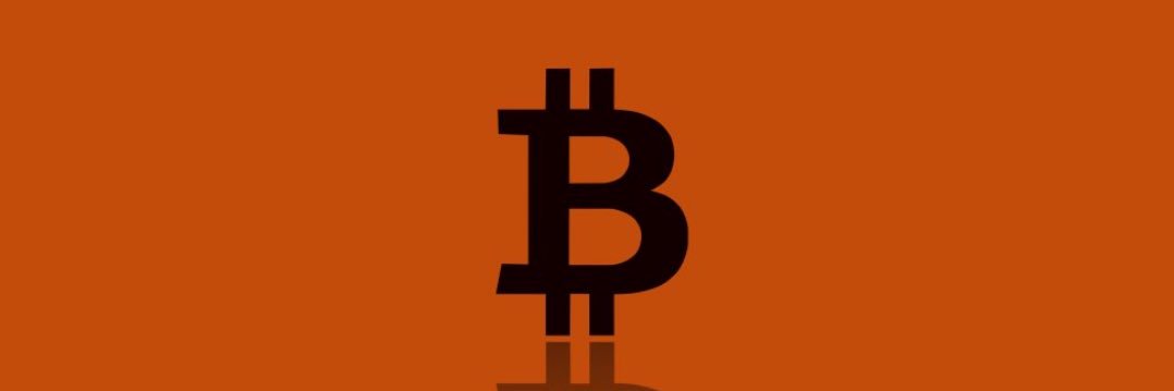 gozycode.btc banner