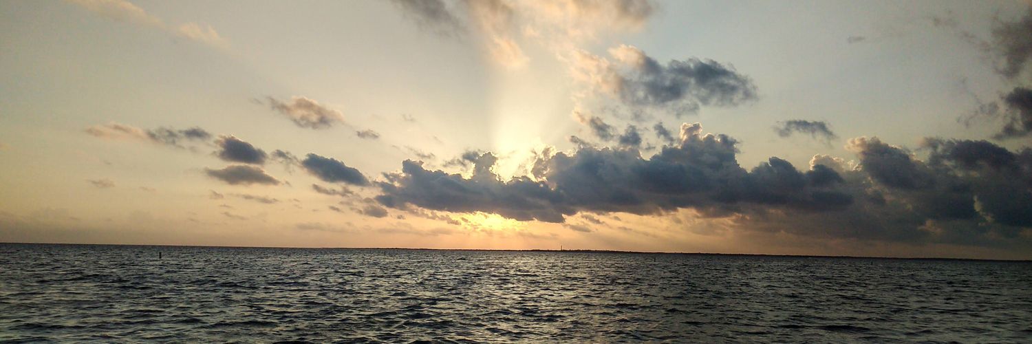 mrfaria4's profile banner image