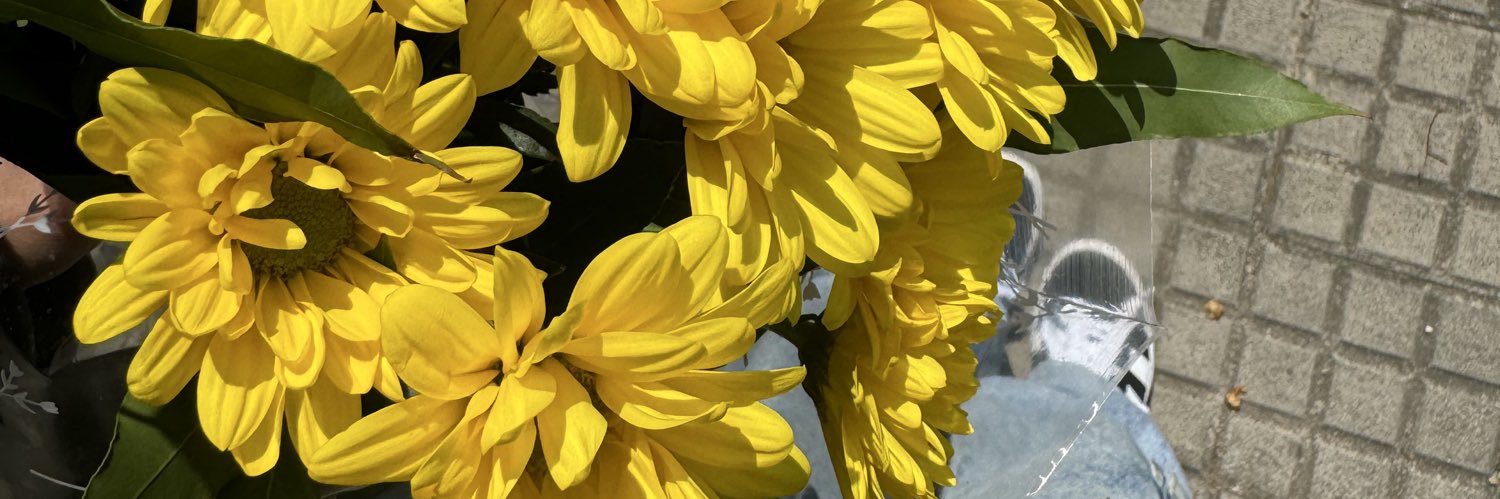 Luliicardini's profile banner image