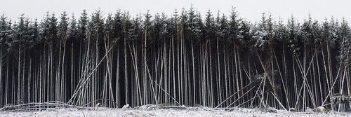 ConnorJlTaylor's profile banner image