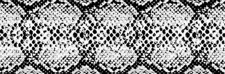 blazel_'s profile banner image