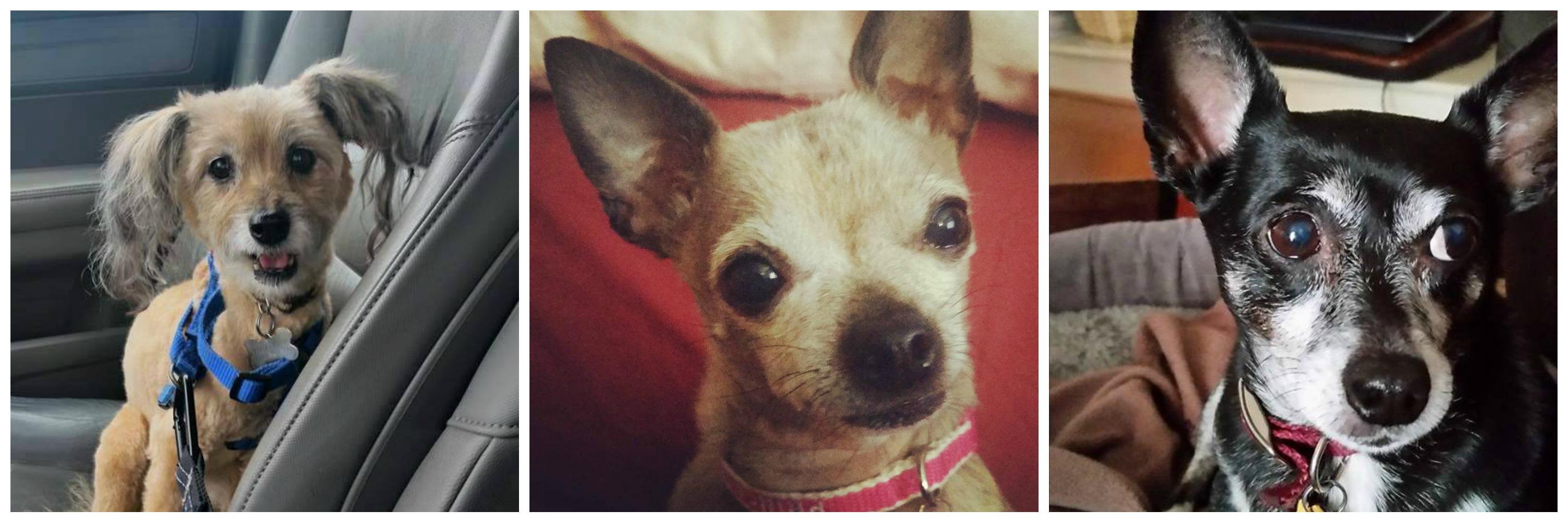 Producer Michelle banner