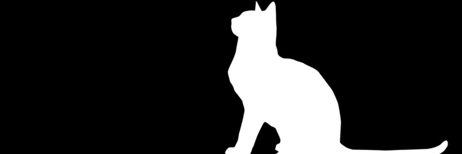 roberrrt24's profile banner image