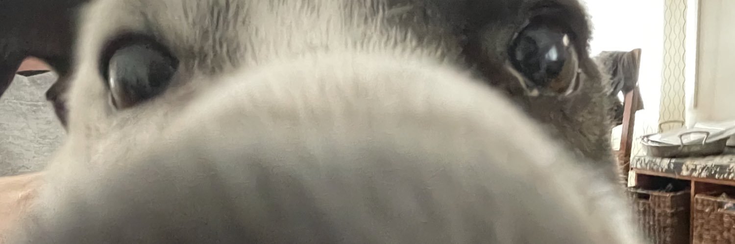 TuxRush's profile banner image
