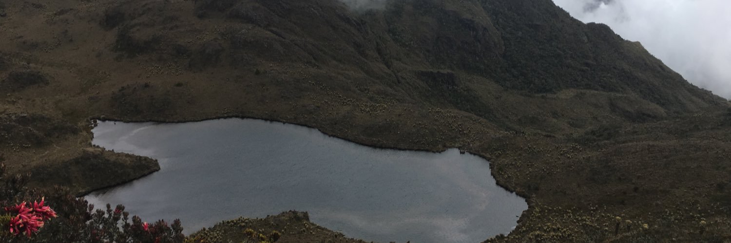 didalgo's profile banner image