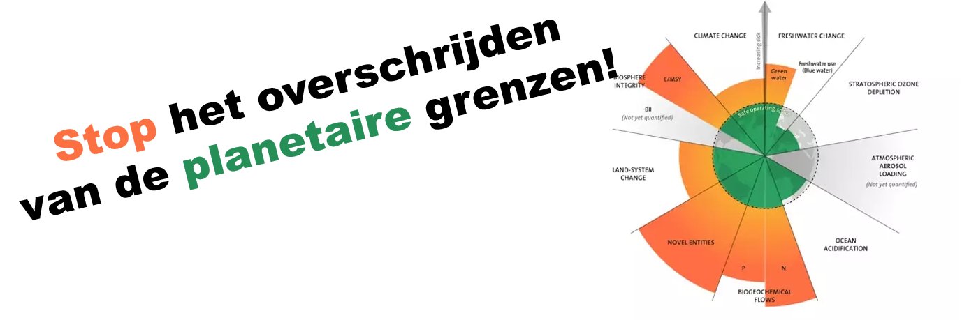 judithlammers's profile banner image