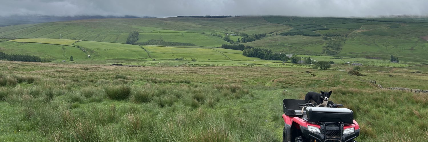 theshepherdam's profile banner image