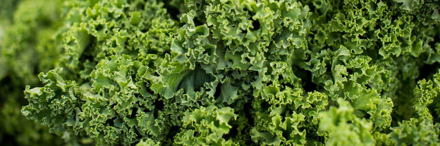 Tyler van der Hoeven (legacy) banner