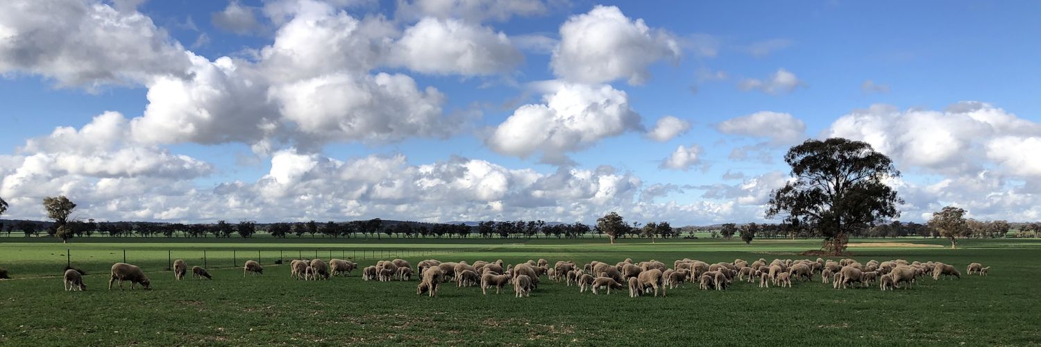 MerinoLink Limited banner