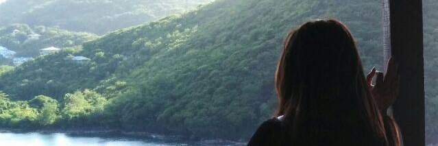 Samantha Joseph banner