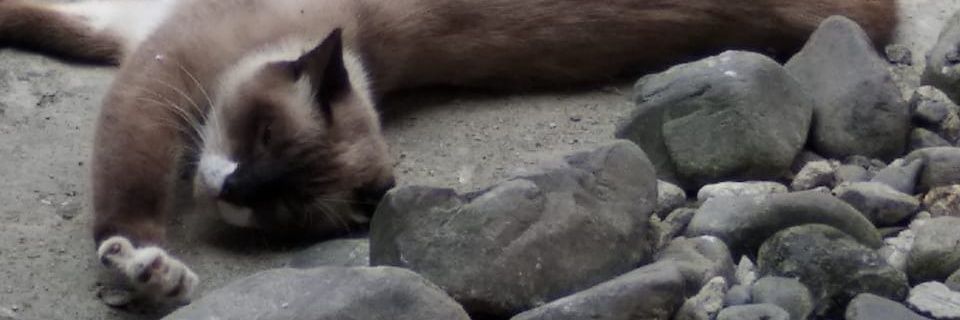 oohbegituuu's profile banner image