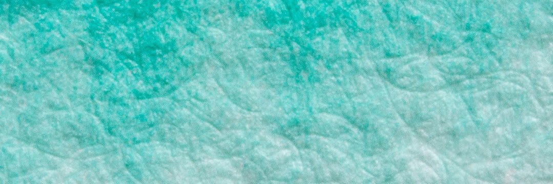 Rachael Stone banner