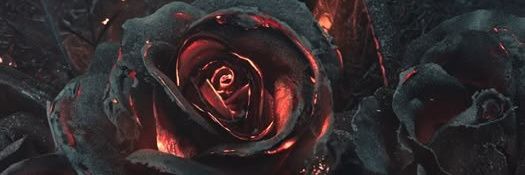 anna_nights's profile banner image
