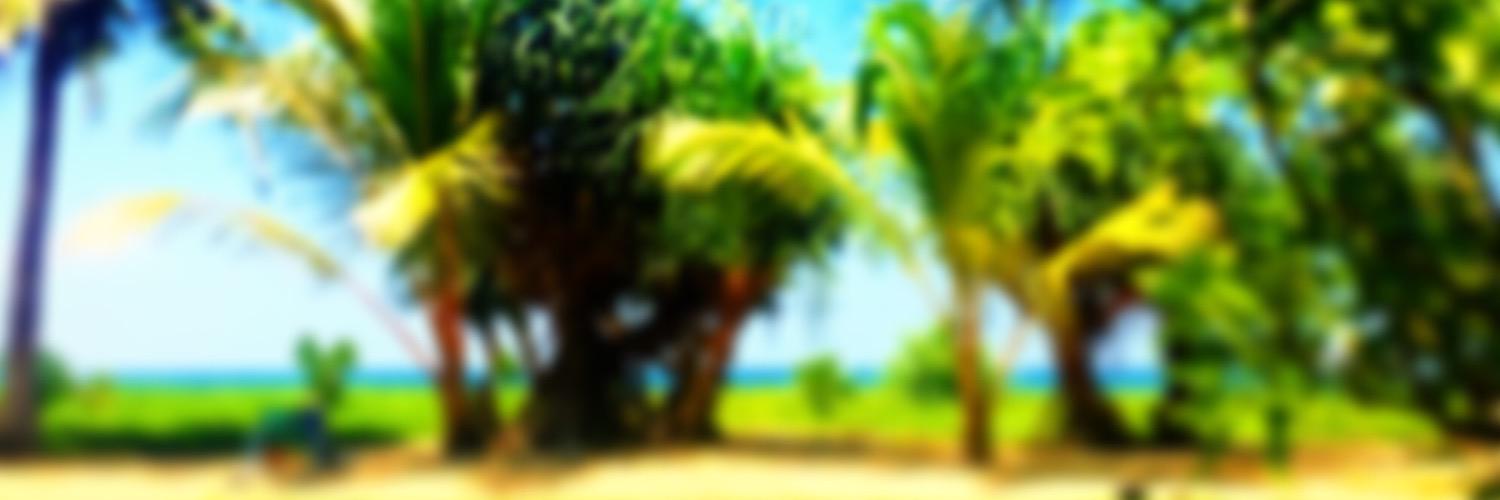 Kristoffer Renberg banner