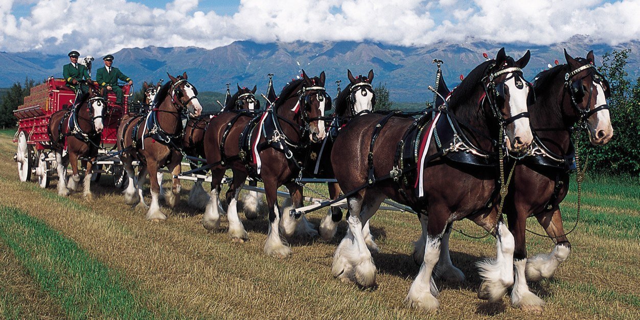 Standard Sales L.P. banner