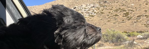 kimberti2081 Profile Banner