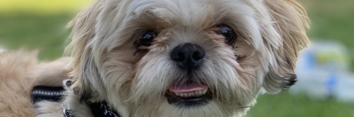 mirlove99's profile banner image