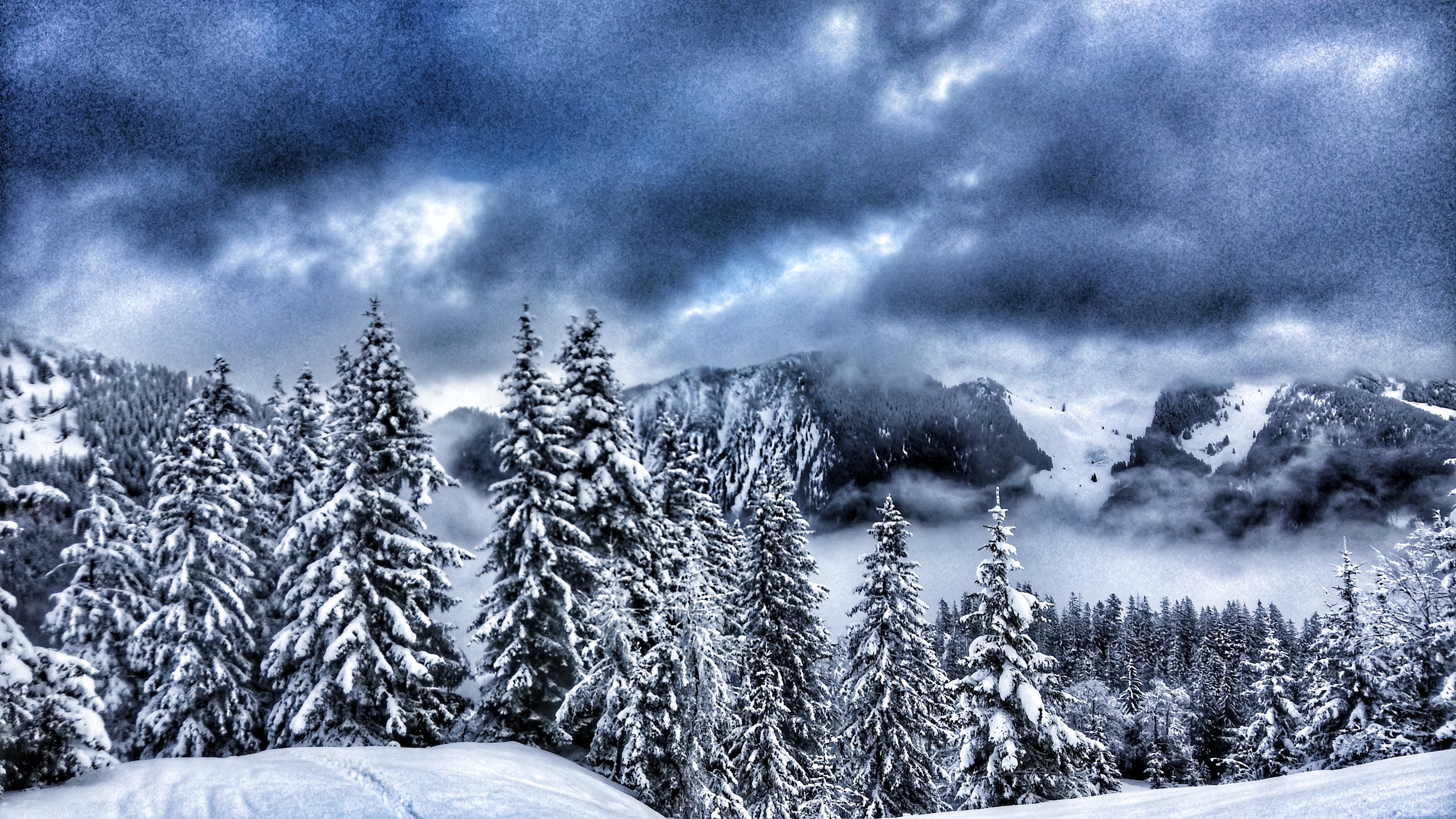 Christian Kallenberg banner