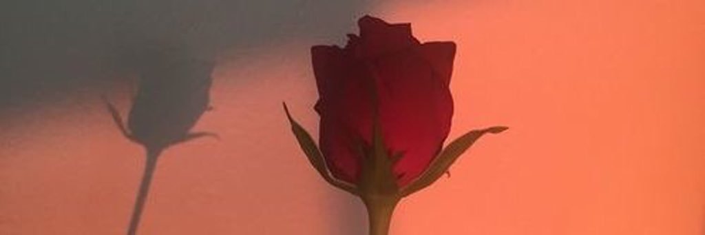 msriannaa's profile banner image