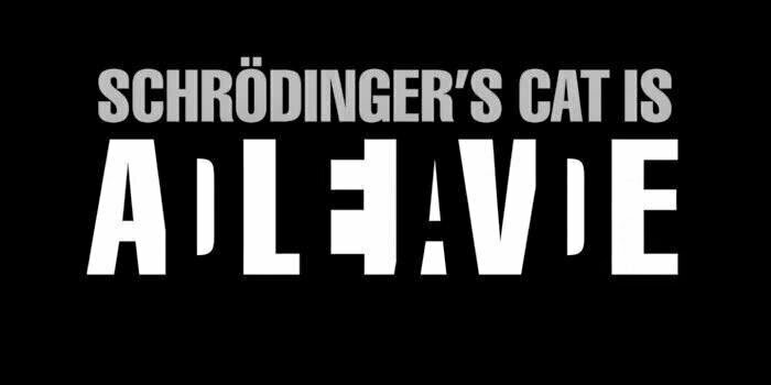 KVSchrodinger's profile banner image