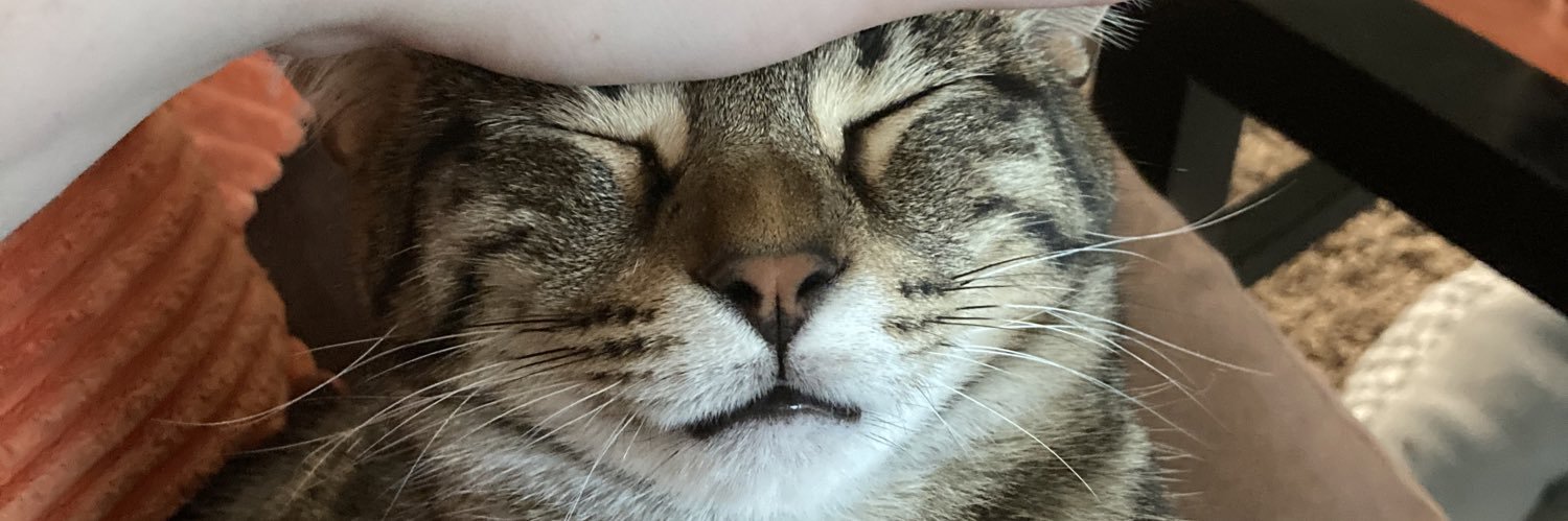 stephlacksgrace's profile banner image