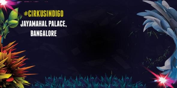Cirkus Indigo banner