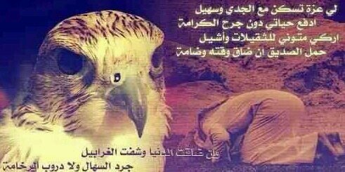 hasansady717's profile banner image