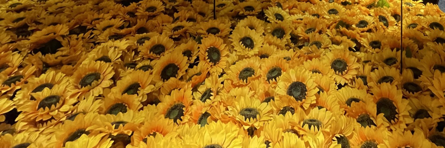 DrCream banner
