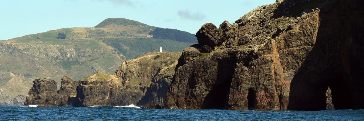 Dennis Robinson banner