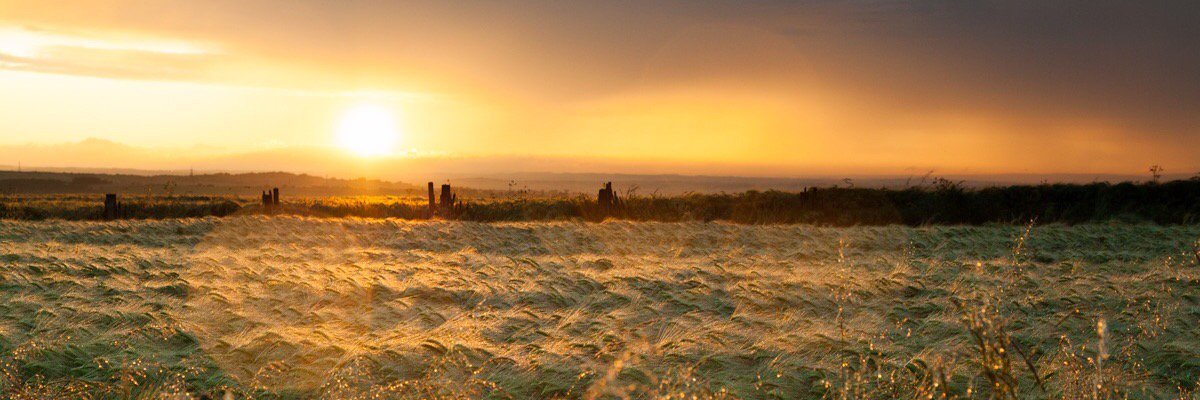GEStorey's profile banner image