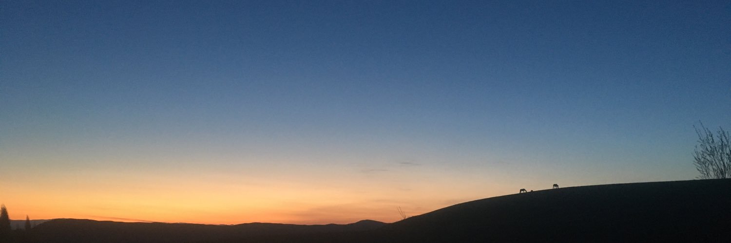 simplicity banner