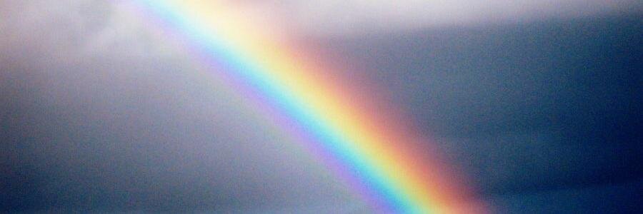Bonnee_Crawford's profile banner image
