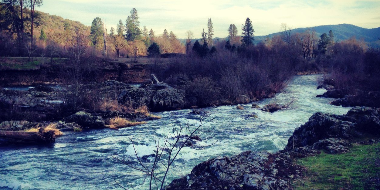 rogue_river's profile banner image