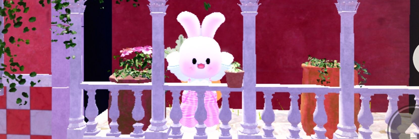 coronmomo's profile banner image