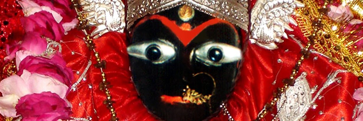 SHARDAPYADAV's profile banner image