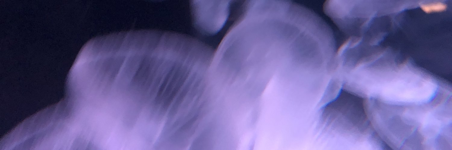 7373Hop's profile banner image