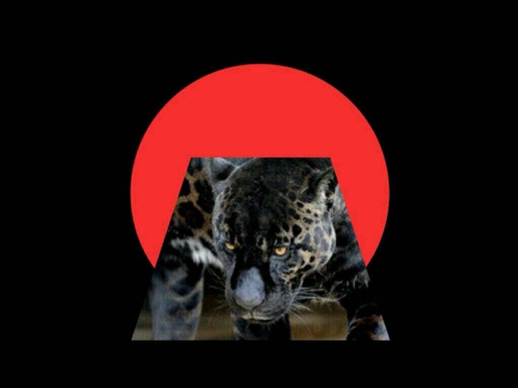 yy_jump's profile banner image