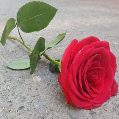 MSsoo1925's profile banner image