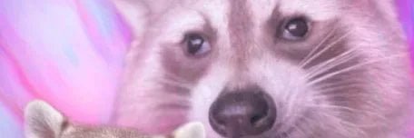 rodrigonsh's profile banner image