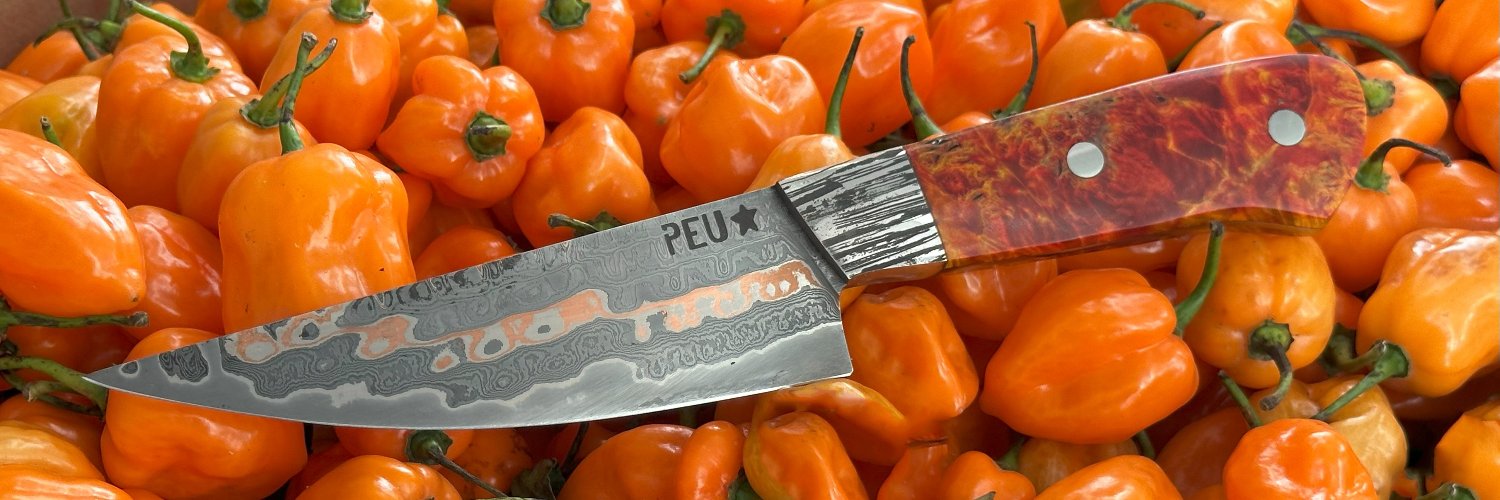 Pablo E. Untroib banner