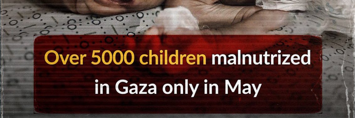 Hajer bouafif banner