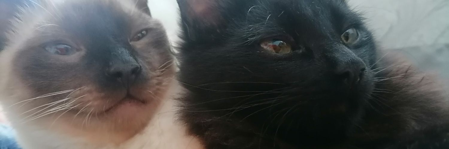 adrimupa's profile banner image