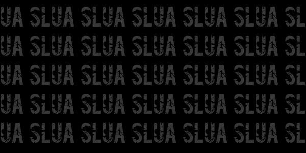science4_slua's profile banner image