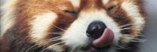 Iead_bronde's profile banner image