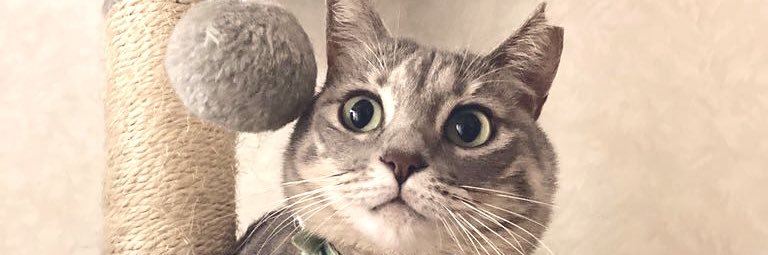 ara2buru2's profile banner image