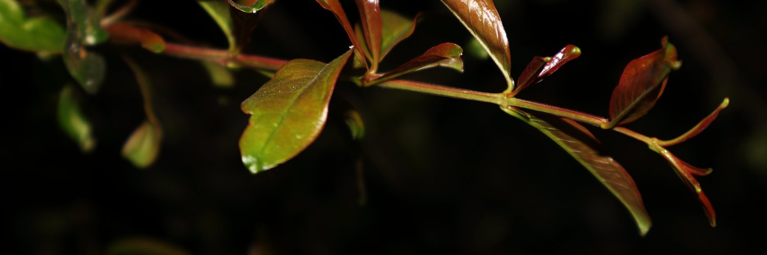 YogashankarPS's profile banner image