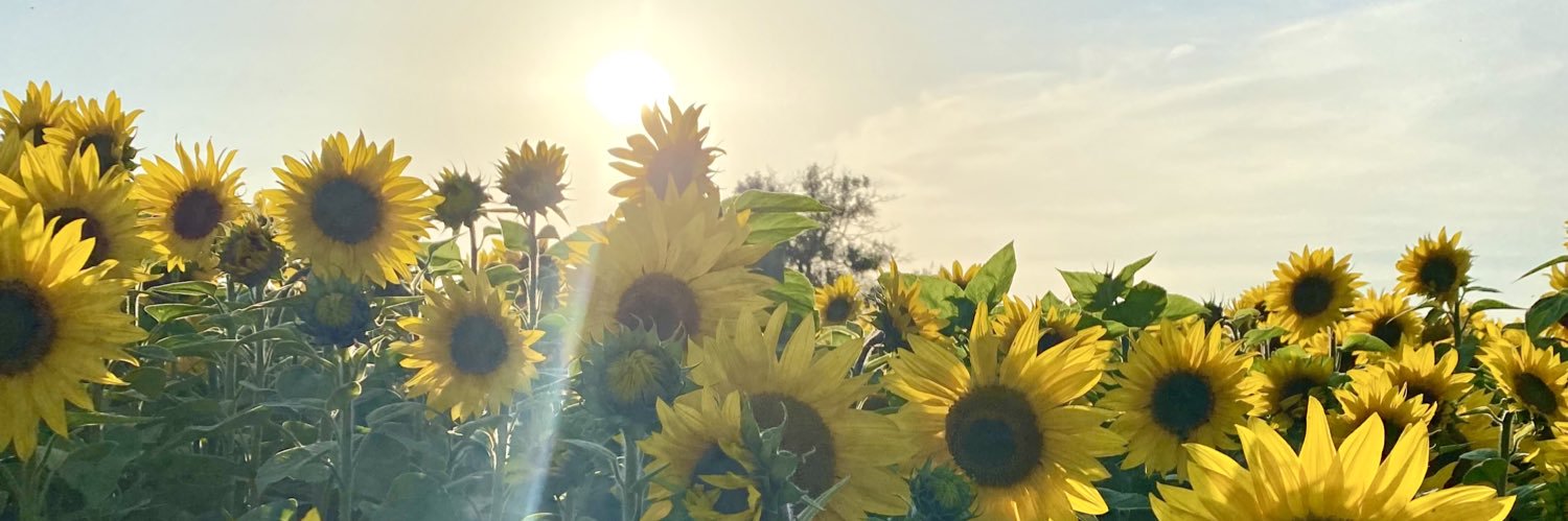 ZoeBell_'s profile banner image