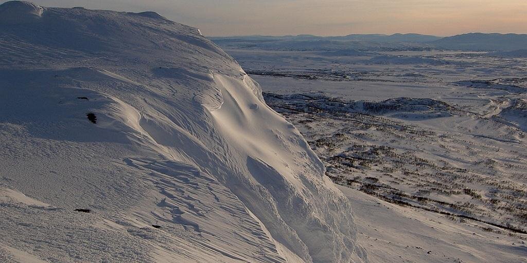 fjallsaker's profile banner image