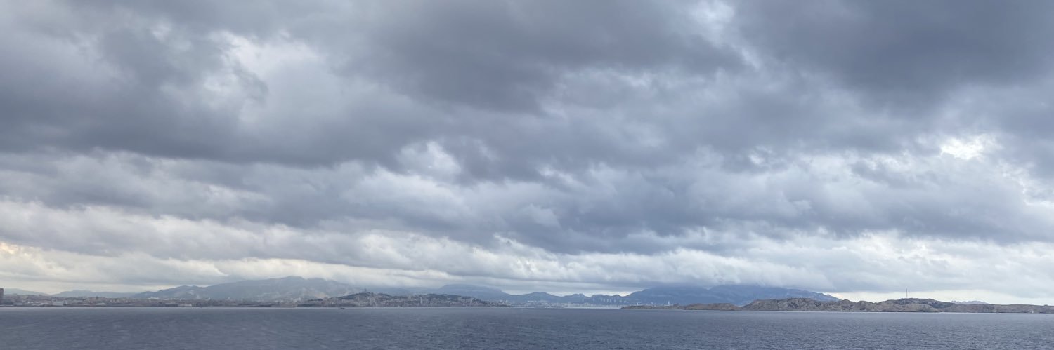 Viviane Gabriel banner