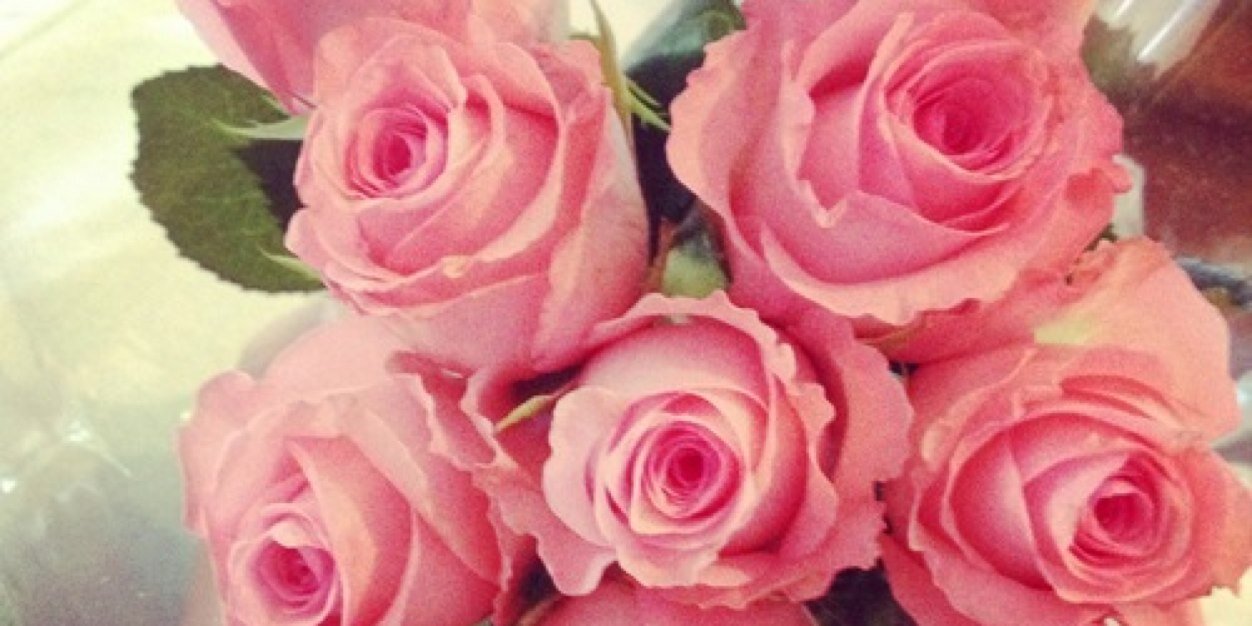 clairine's profile banner image